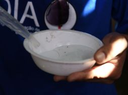 El virus del zika ha sido detectado en cerca de 30 países en América Latina y el Caribe. AFP / V. Almeida