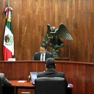 Exoneran a celebridades y al partido por tuits a favor del PVEM