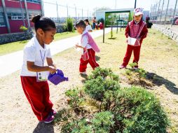 Niños del Jardín de Niños 'Arturo Márquez Navarro' riegan un huerto urbano promovido por la asociación Extra. EL INFORMADOR / P. Franco