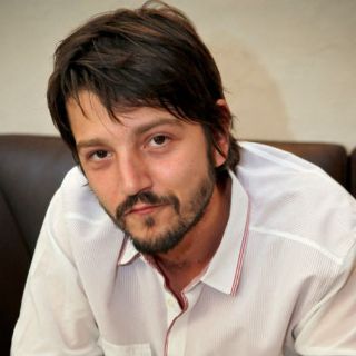 Crece la familia de Diego Luna y Demián Bichir