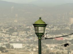 Extra quiere contribuir un poco más a nivel global a la huella de carbono que se produce en el mundo. EL INFORMADOR / ARCHIVO