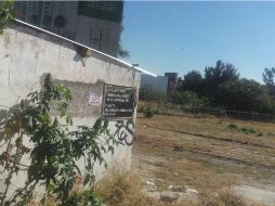 Esperan que el amparo permita frenar cualquier intento de nuevas edificaciones en la zona. EL INFORMADOR / S. Blanco