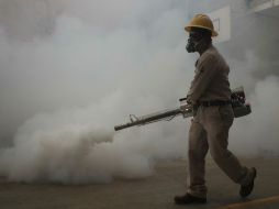 Subrayan la importancia de las labores de prevención y combate del mosquito transmisor. SUN / ARCHIVO