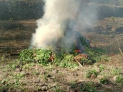 El enervante fue trasladado y puesto a disposición del agente del Ministerio Público Federal. TWITTER / @FiscaliaJal