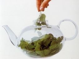 Las plantas comestibles también contienen ácidos grasos, clorofila y compuestos fenólicos. SUN / ARCHIVO