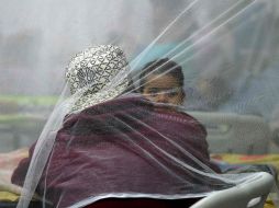 La compañía ha registrado un aumento en las búsquedas sobre el zika desde noviembre. AFP / ARCHIVO