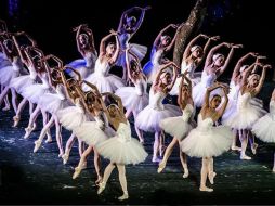 La función será repuesta el próximo martes a las 20:30 horas y quien lo desee, podrá pedir su reembolso. ESPECIAL / http://www.companianacionaldedanza.bellasarte