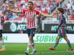 El Rebaño visitará este sábado a los Gallos Blancos en punto de las 18:30 horas en La Corregidora. MEXSPORT / ARCHIVO