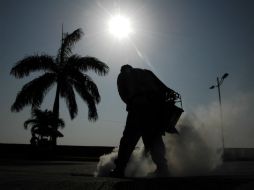 Entre tanto, aseguran que el impacto será menor que el que tuvo en 2015 la África debido a la presencia del ébola. AFP / ARCHIVO