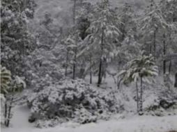 Protección Civil del estado entregó cobijas a quienes circulaban por la carretera Durango-Mazatlán, pues vestían ropa muy ligera. TWITTER / @conagua_clima