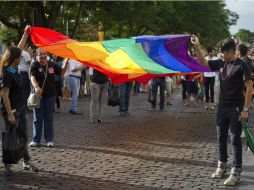 ''Nunca fue, ha sido, ni será la intención de una servidora emitir una opinión discriminatoria'', asegura la legisladora.  /