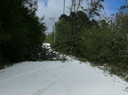 Restringen al acceso para evitar accidentes y resguardar la vida de los potenciales visitantes. TWITTER / @SemadetJal