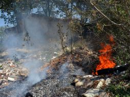 La mayoría de los incendios son provocados por descuidos humanos. EL INFORMADOR / ARCHIVO
