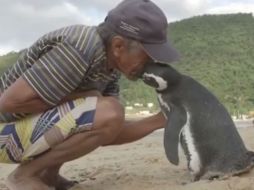 El vínculo que ambos han formado sorprende a biólogos. YOUTUBE / Andrii111