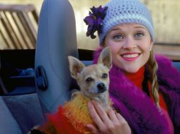 La actriz dio a conocer su dolor luego de la muerte del canino. FACEBOOK / Legally Blonde