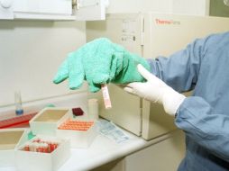 Se espera se inicien pruebas clínicas en humanos en 2017. NTX / ARCHIVO