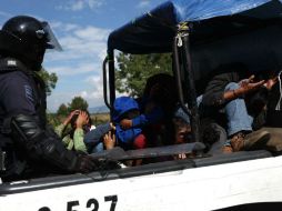 Los sujetos fueron puestos a disposición del Ministerio Público correspondiente por el delito de maltrato y muerte animal. SUN / ARCHIVO