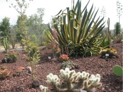 Anteriormente se pensó que el calentamiento global dispararía un mecanismo que incrementaría el CO2. NTX / ARCHIVO