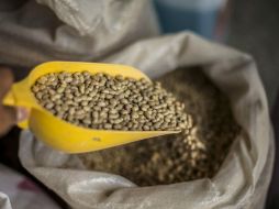 El consumo de estos hidrolizados proteínicos es una alternativa de origen natural para inhibir dicha enzima hasta 50 por ciento. EL INFORMADOR / ARCHIVO