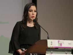 Ximena Puente, presidenta del Instituto dijo que el cumplimiento del requisito es fundamental. SUN / ARCHIVO