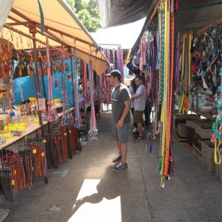 Guadalajara ha decomisado 59 animales en El Baratillo