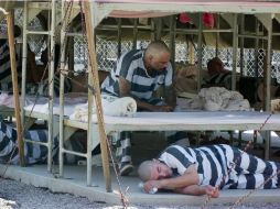 Transexuales salen de sus países de origen huyendo de la violencia de pandillas, pero son agredidos en centros de detención de EU. EFE / ARCHIVO