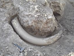 Los restos fueron enviados a la Universidad Estatal de Oklahoma para su análisis. NTX / ARCHIVO