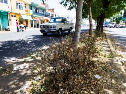 Piden que la autoridad intensifique el mantenimiento en la zona. EL INFORMADOR / P. Franco