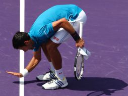 Si levanta el trofeo el domingo, también  empataría con Agassi con tres títulos al hilo. AFP / C. Brunskill