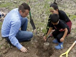 Por primera vez se realizará una planeación estratégica de reforestación. EL INFORMADOR / ARCHIVO