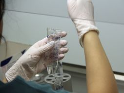 El estudio se realiza con una biopsia para sustraer una o varias células del embrión durante el quinto día de desarrollo. EFE / ARCHIVO