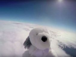 Con una campaña en redes sociales esperan que alguien lo encuentre y lo devuelva. YOUTUBE / AudiovisualTelam