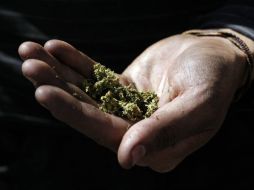 Emiten propuesta tras colaboración de la actriz con fabricante de comestibles con marihuana orgánica para aliviar dolores menstruales. EL INFORMADOR / ARCHIVO