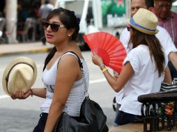 El registro de temperatura más alto se presentó en la estación climatológica de El Cubil. NTX / ARCHIVO