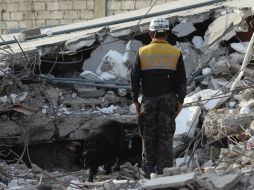 Hasta el momento se reporta que hay 480 muertos y cuatro mil 27 heridos. EFE / J. Jácome