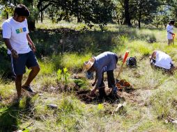 El objetivo del espacio es el aporte ideas para mejorar el manejo y la conservación del Bosque La Primavera. EL INFORMADOR / ARCHIVO