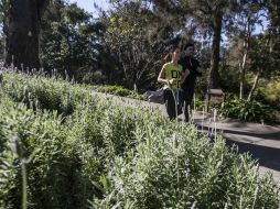 Carlos Trejo, procurador social de Jalisco, aclara que el Gobierno no pelea la propiedad sino el derecho al medio ambiente. EL INFORMADOR / ARCHIVO