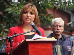 La senadora Erika Ayala pide esclarecer la fortuna del candidato PAN-PRD. ESPECIAL /