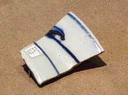 Se exponen fragmentos de cerámica, restos óseos animales, vestigios de drenaje y botellas de vidrio. TWITTER / @MRG_INAH