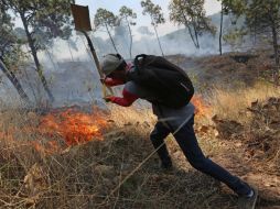 El incendio deja 250 hectáreas con severos daños. SUN / A. Solís