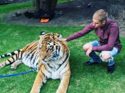 Algunos de los seguidores del canadiense lo criticaron, pues se trata de un animal salvaje en cautiverio. INSTAGRAM / @justinbieber