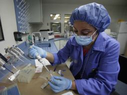 El estudio evaluó los efectos terapéuticos del AMP-18 (gastrokina-1) en un modelo animal. SUN / ARCHIVO