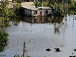 En un mensaje el coordinador nacional de Protección Civil dice que seguirán trabajando para promover la prevención. NTX / ARCHIVO