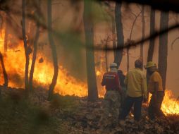 Con las cámaras se prometía disminuir los incendios al detectar a quienes iniciaran quemas. EL INFORMADOR / ARCHIVO