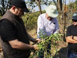 Alberto Uribe realizó una gira de supervisión por el predio de 800 hectáreas dentro del Área Natural Protegida. ESPECIAL /
