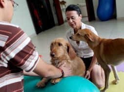 En el centro de rehabilitación hay alberca con agua templada, bañera de hidromasaje térmico, área de juego de pelota y caminadora. EL INFORMADOR / A. Hinojosa