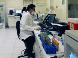 El compuesto químico activa un mecanismo por el cual las células 'se matan a sí mismas'. EL INFORMADOR / ARCHIVO