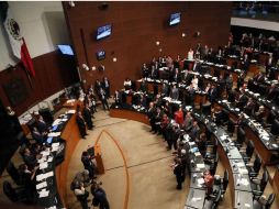 En cuanto al tema de la mariguana, piden atender la urgencia médica para importar fármacos de este tipo. SUN / ARCHIVO