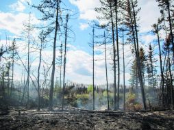 Autoridades buscan a los responsables del incendio, quienes ya habrían sido identificados por la Policía. EFE /