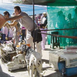 Tres de cada 10 puestos en El Baratillo son irregulares